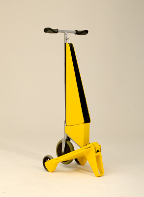 Citrus Electric scooter